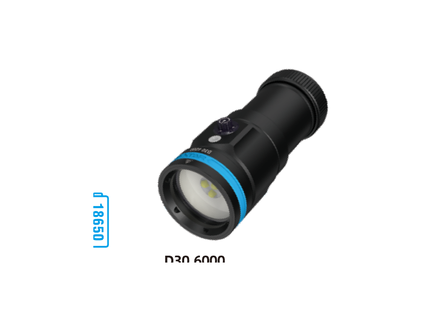D30 6000