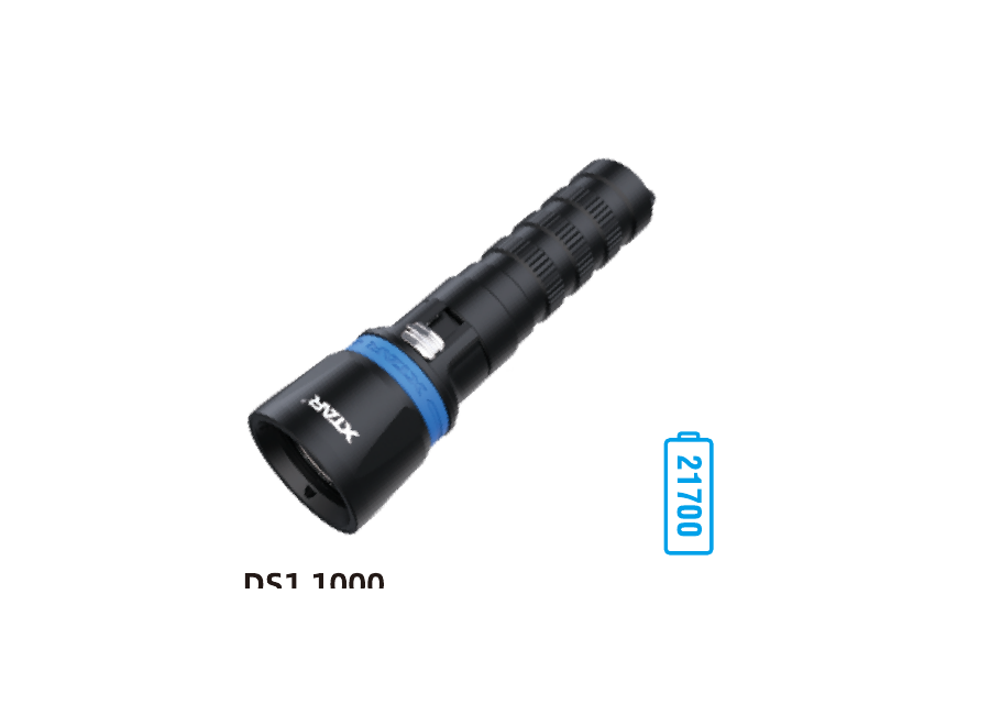 DS1 1000